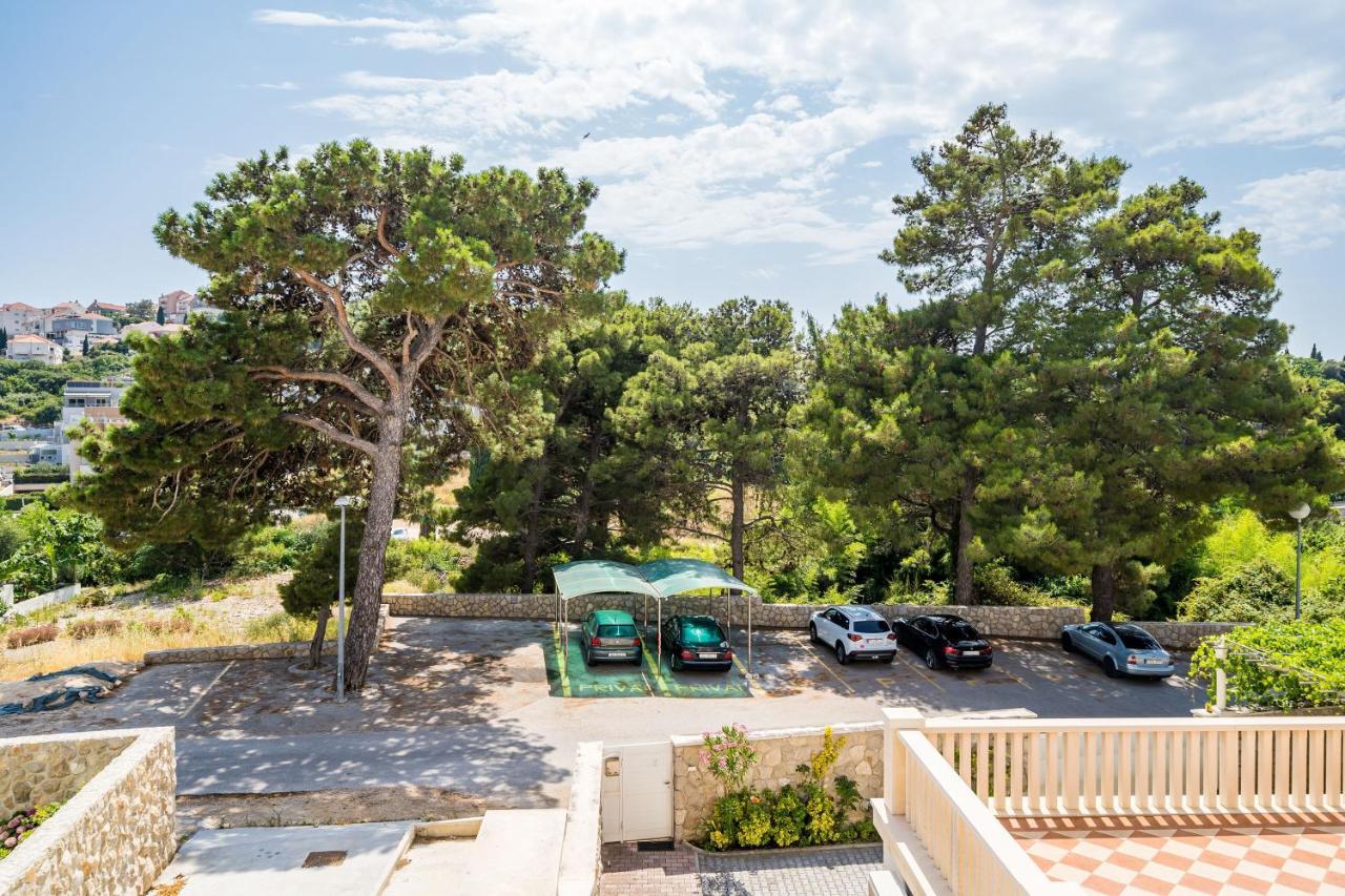 Borna * Dubrovnik